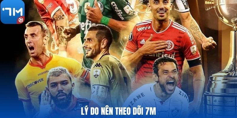 Lý do nên theo dõi 7M